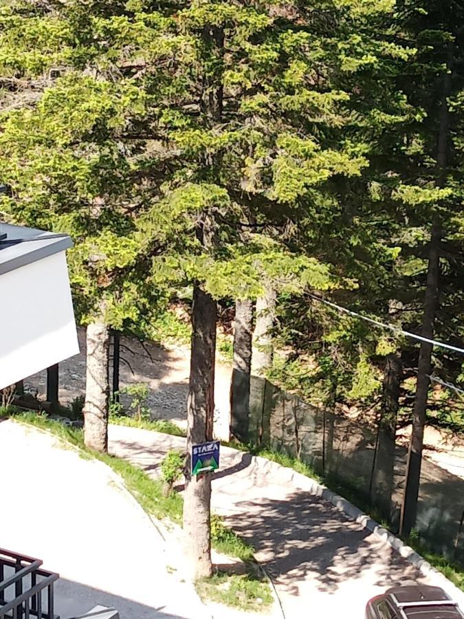 Apartman Bijela Белашница Экстерьер фото
